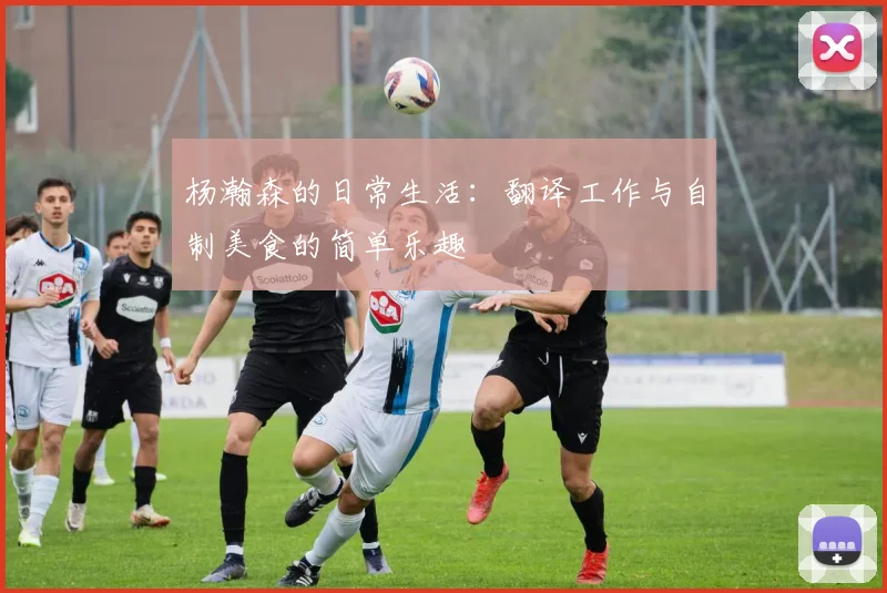 杨瀚森的日常生活：翻译工作与自制美食的简单乐趣
