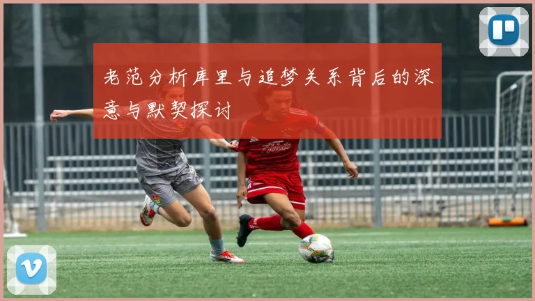 老范分析库里与追梦关系背后的深意与默契探讨