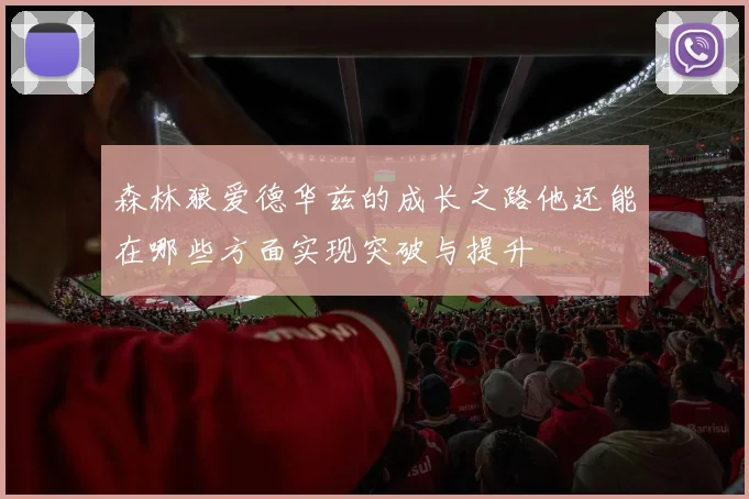森林狼爱德华兹的成长之路他还能在哪些方面实现突破与提升