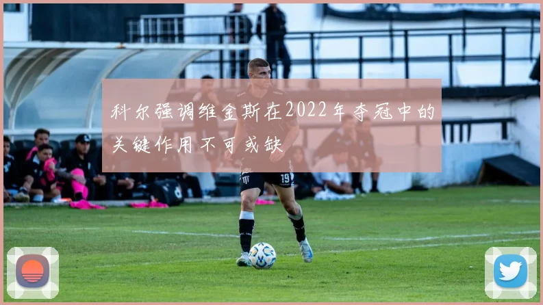 科尔强调维金斯在2022年夺冠中的关键作用不可或缺